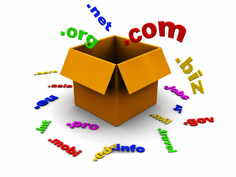 3d illustration of box with domain names inside